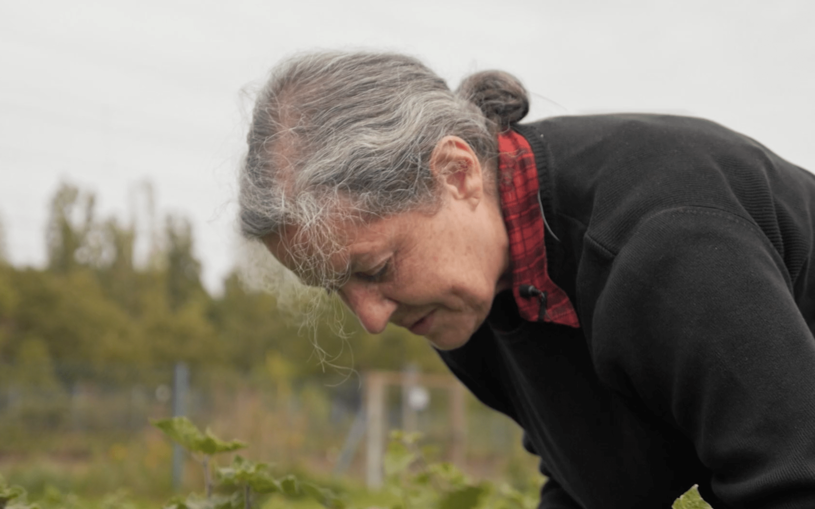 Screenshot 2021-11-17 at 22.37.06